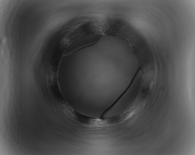 X0000090470239200707131303