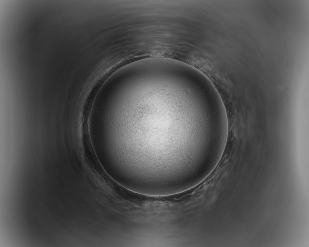 X0000090470242200707131303