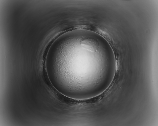 X0000090470243200707131303