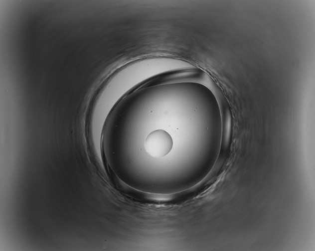 X0000090470244200707131303