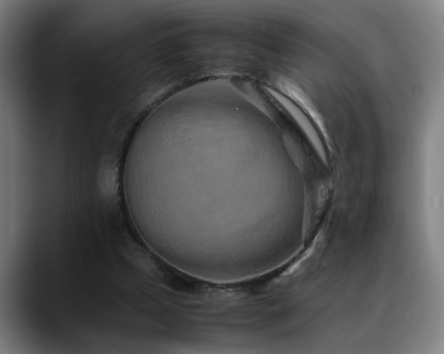 X0000090470249200707131303