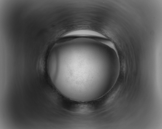X0000090470255200707131303