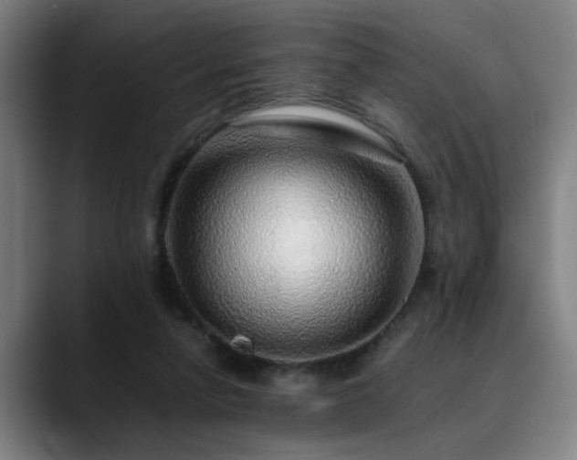 X0000090470258200707131303