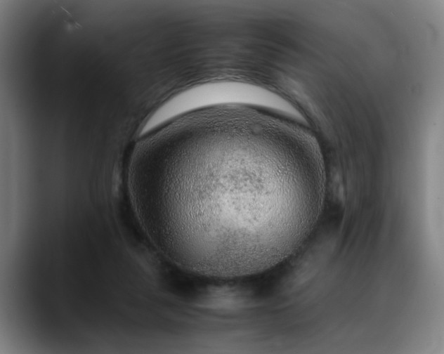 X0000090470259200707131303