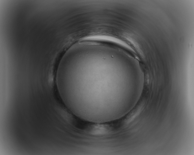 X0000090470261200707131303