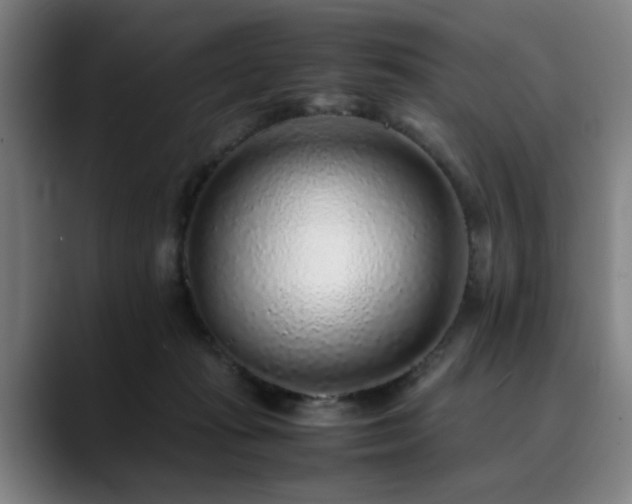 X0000090470269200707131303