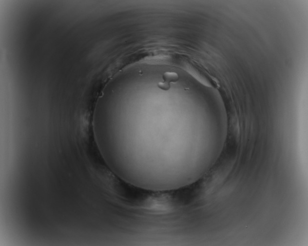 X0000090470271200707131303