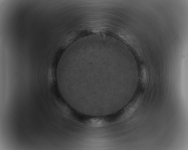 X0000090470272200707131303