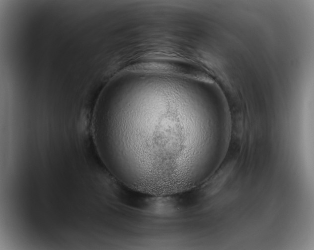 X0000090470273200707131303