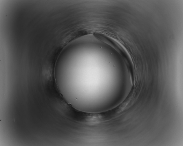 X0000090470274200707131303