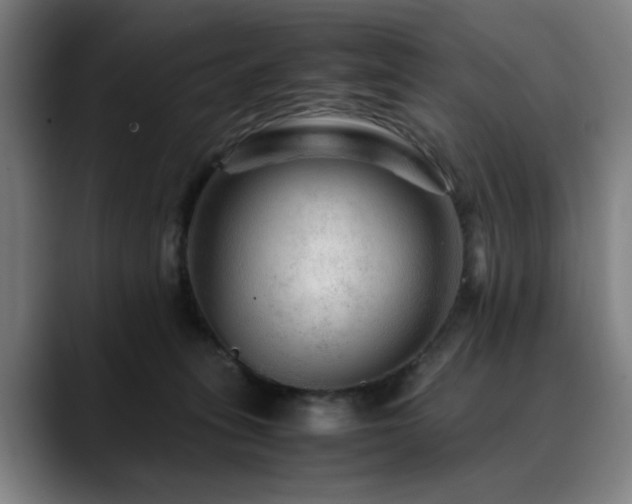 X0000090470275200707131303
