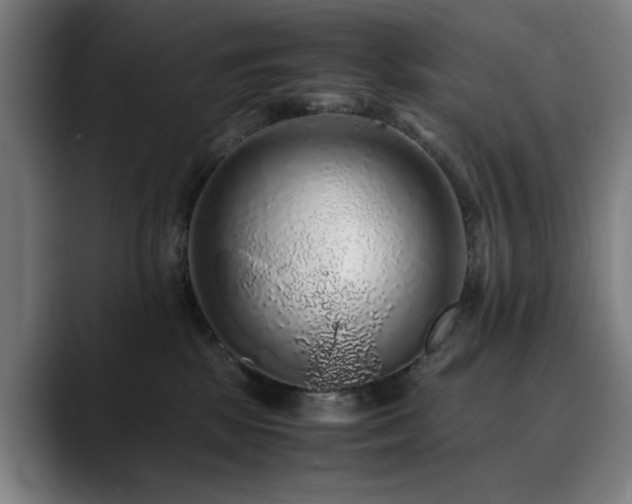 X0000090470281200707131303