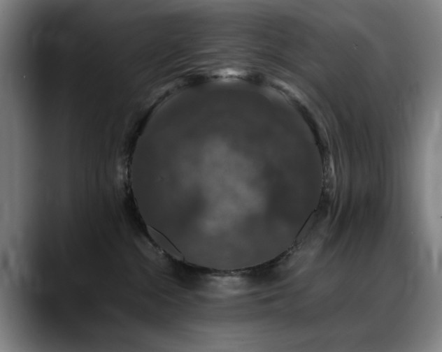 X0000090470284200707131303