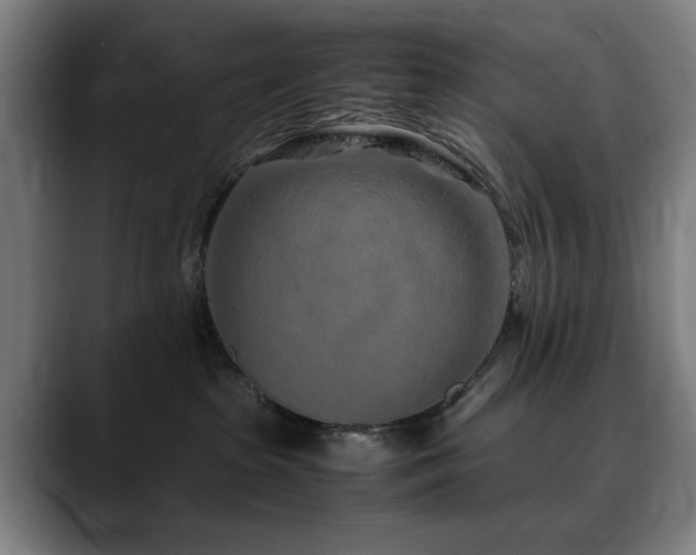 X0000090470285200707131303