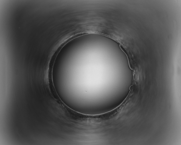 X0000090470292200707131303