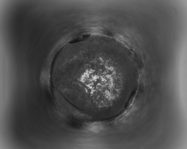 X0000090470293200707131302