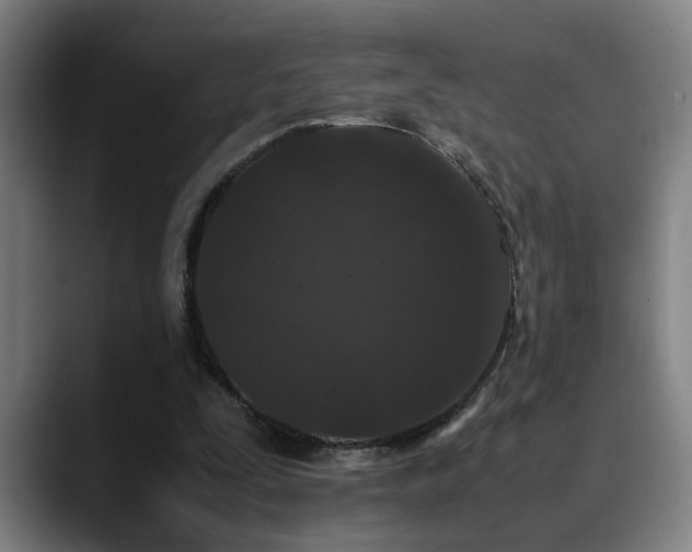 X0000090470295200707131302