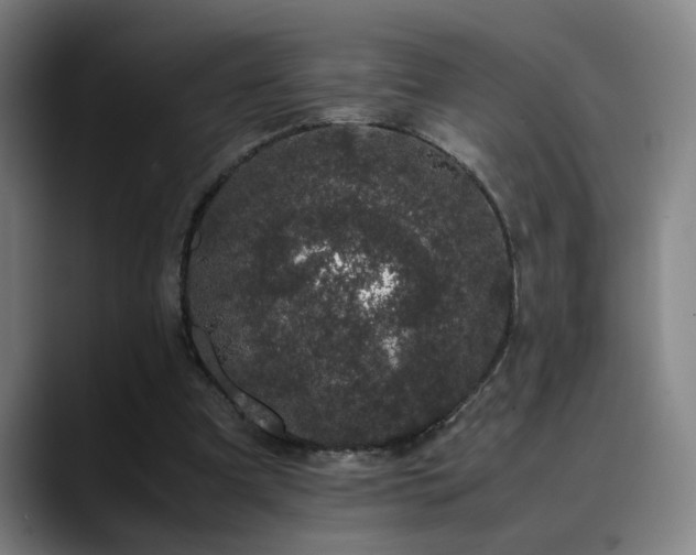 X0000090470297200707131302