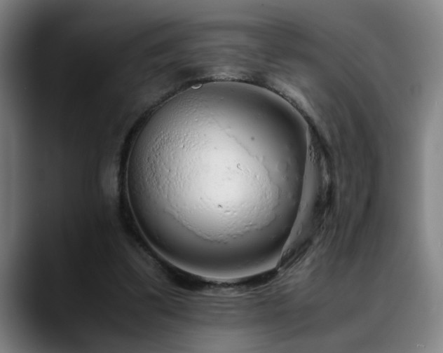 X0000090470299200707131302