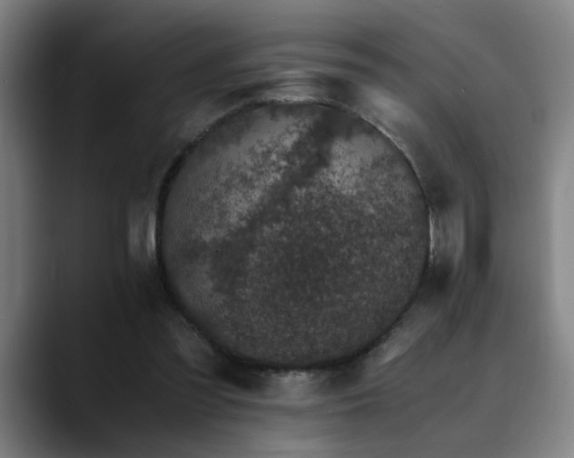 X0000090470301200707131302