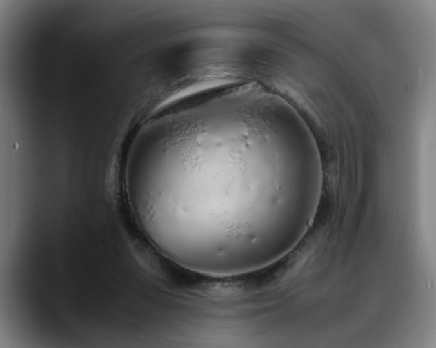 X0000090470303200707131302