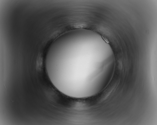 X0000090470308200707131302