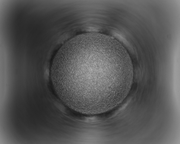 X0000090470309200707131302