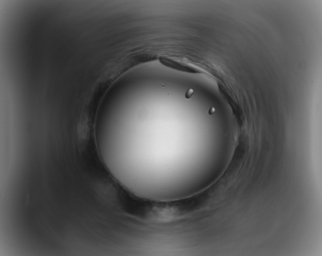 X0000090470311200707131302