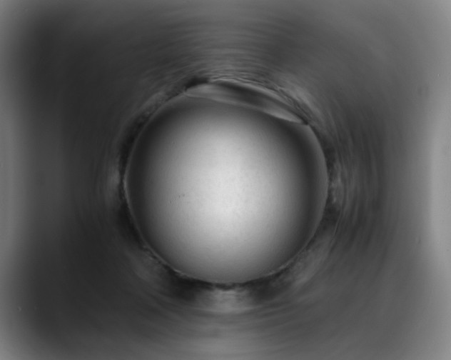 X0000090470314200707131302