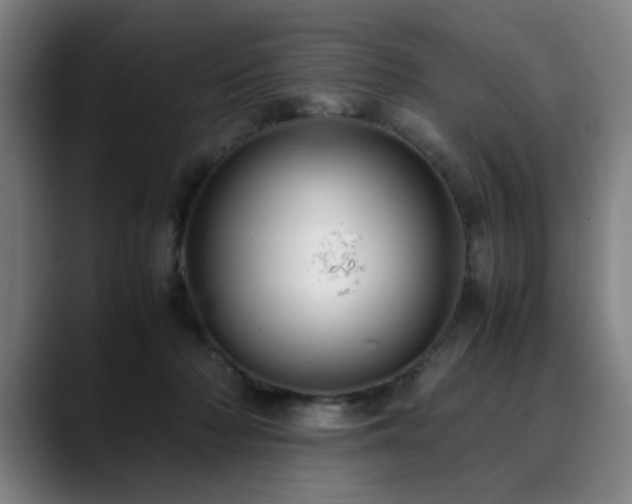 X0000090470318200707131302