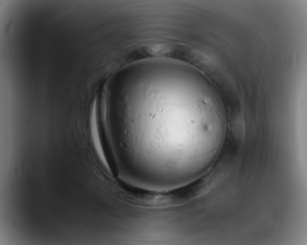X0000090470319200707131302