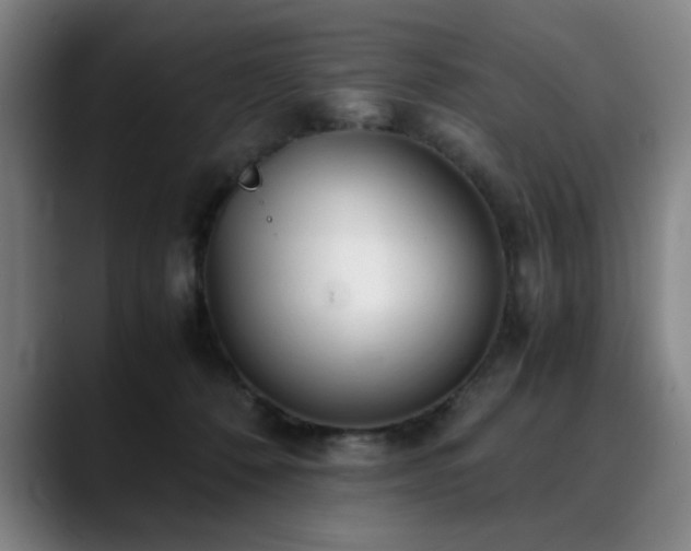 X0000090470320200707131302