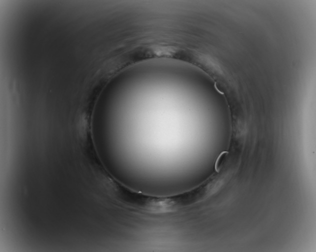 X0000090470321200707131302