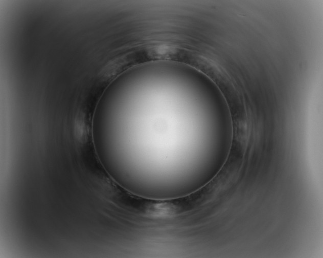 X0000090470324200707131302