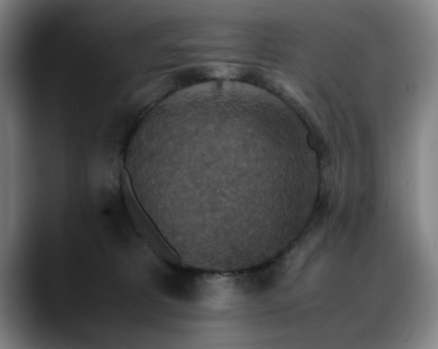X0000090470325200707131302