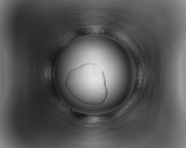 X0000090470326200707131302