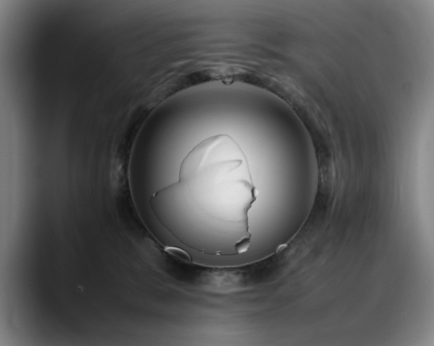 X0000090470327200707131302