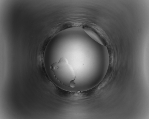 X0000090470329200707131302