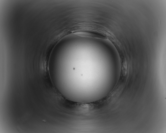X0000090470330200707131302