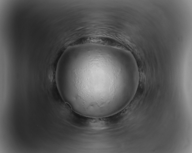 X0000090470331200707131302