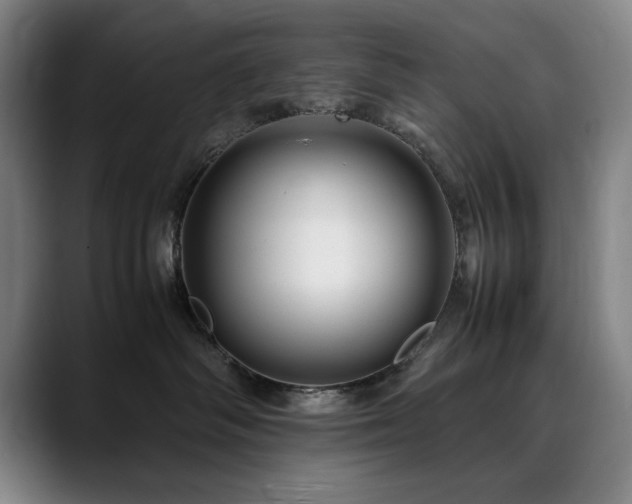 X0000090470334200707131302