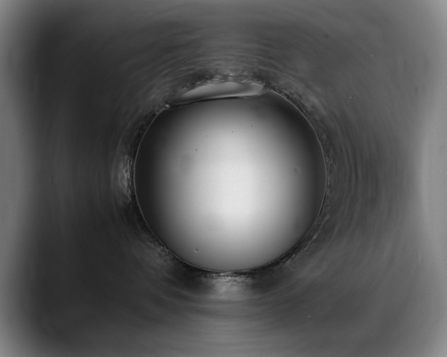 X0000090470336200707131302