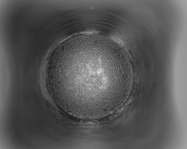 X0000090470337200707131301