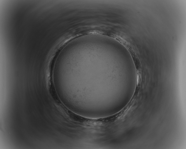 X0000090470339200707131301