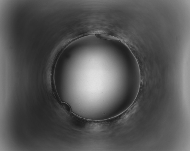X0000090470341200707131301