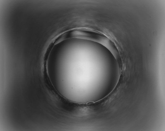 X0000090470344200707131302