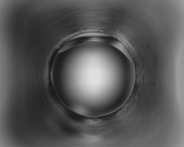 X0000090470346200707131302