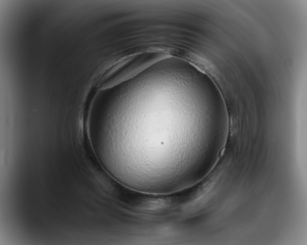 X0000090470349200707131302