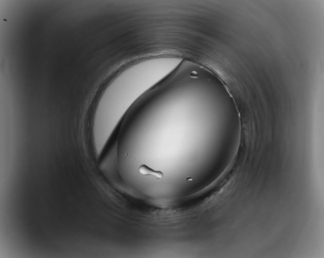 X0000090470350200707131302