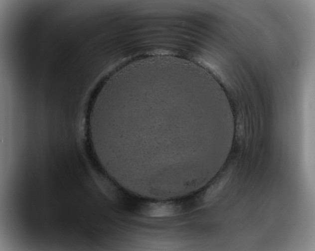X0000090470351200707131302
